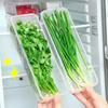 Set of 6 Vegetable Storage Containers | Refrigerator Storage for Radishes, Green Onions, and Cilantro | Airtight Transparent Boxes | Space-Saving, Sta
