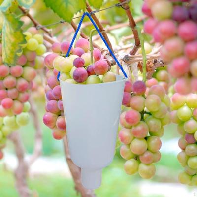 Herramientas de jardinería – Recolectores de fruta