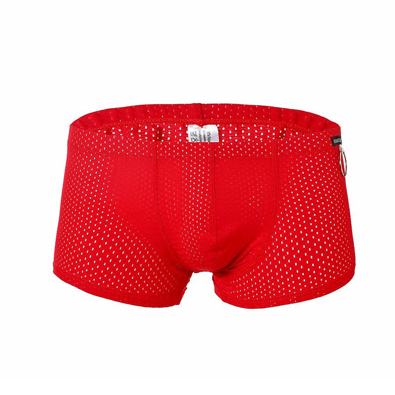 Men's Fashionable Mesh Nylon Low-Rise Boxer Briefs
