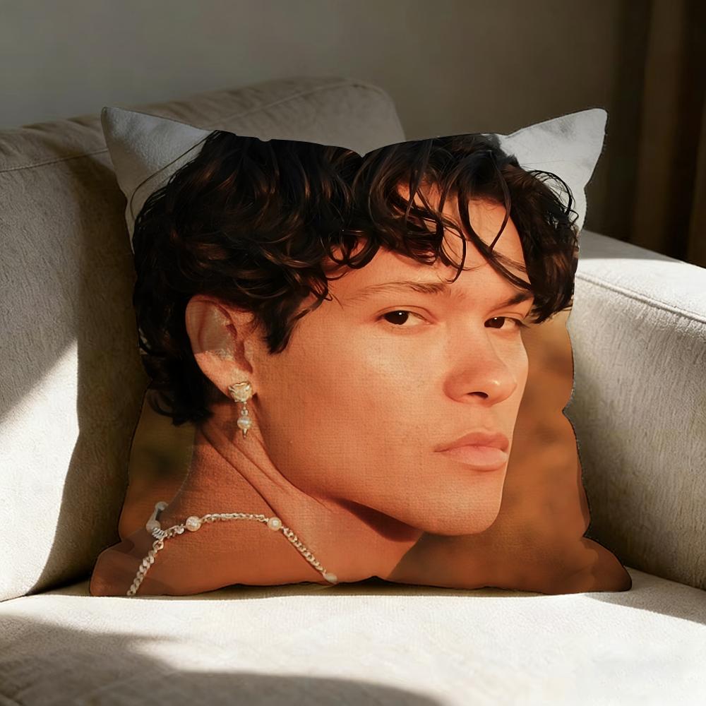Singer Omar R-Rudberg Pillow Case Linen Pillow Covers Cover For Couch Living Room Bench Patio Floor Linen Home Decor