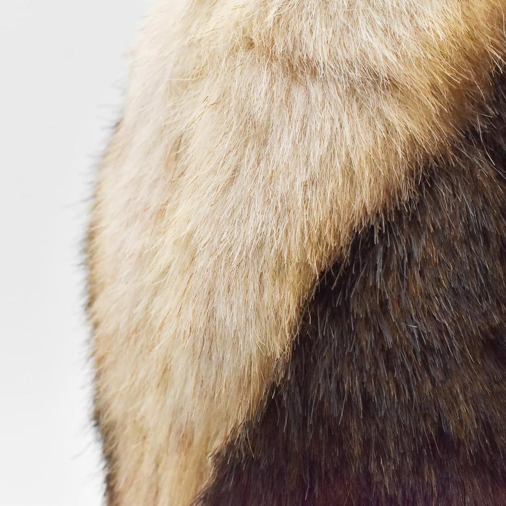 BH8137 HANSA Koalikui 32