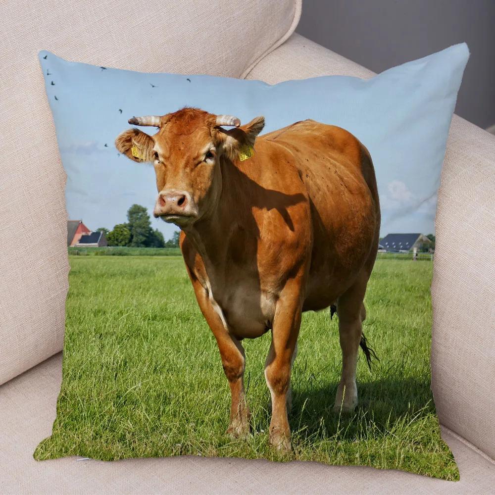 Scotland Kyloe Pillow Case Decor Wild Cow Colorful Animal Print Pillowcase Soft Short Plush Cushion Cover for Home Sofa 45x45cm