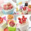 10Pcs Mini Square Flower Pots With Trays Drainage Holes Candy Colors For Succulents Plants Seedlings Home Decor Garden Jxb