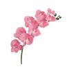 Yousheng 27.5 Inch Artificial Phalaenopsis Flower Branch 9 Full Blooms Fake Silk Orchids with Stem for Home Office Wedding