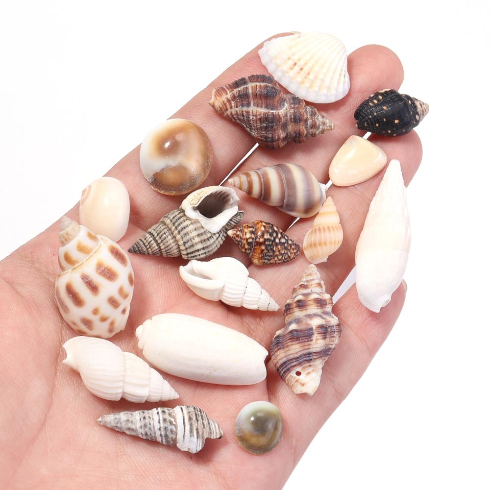 40g/bag Sea Shell Beads Tiny Conch Beads Undrilled Natural Shell Beads For Jewelry Making DIY Crafts Ornament Home Decoration