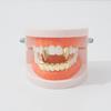 Trendy Hip-Hop Canine Gold Teeth Grills Set - Electroplated Braces for Smooth Style