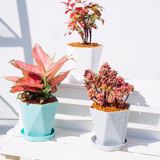 Sturdy Durable Pot Tray Multi Colors Thickened Plastic Plant Pot Saucer for Garden