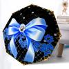 Accesorii – Umbrele
