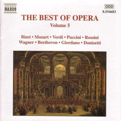 CD GAETANO DONIZETTI, GEORGES BIZET, G - Best of Opera 5 8554683 Naxos 2000 Europa Klassik Gebraucht