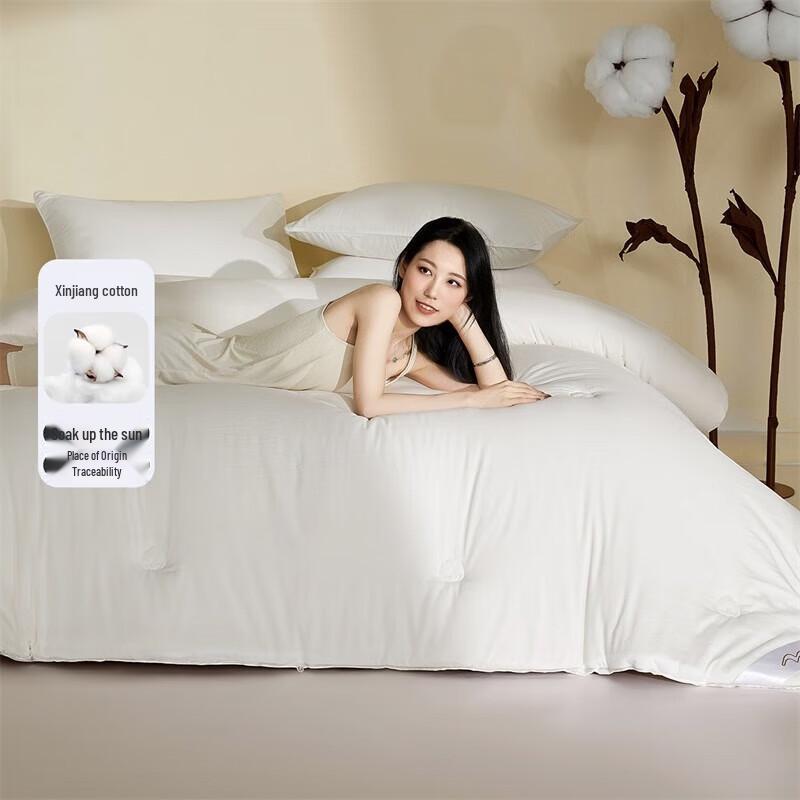 Mercury Home Textiles Single Xinjiang Cotton Winter Quilt