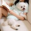 Ruffled Collar Dog Lace Vest Thin Soft Dog Short Sleeve Comfortable Fit Pet Outfits  For Small Dogs