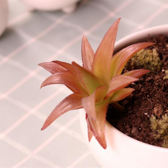 Mini Künstliche Sukkulenten Realistische Fake Kleine Kakteen Pflanzen Bunte Kunststoffe Beflockte Topflose Pflanzen für Garten Blumentopf Küche Heimdeko