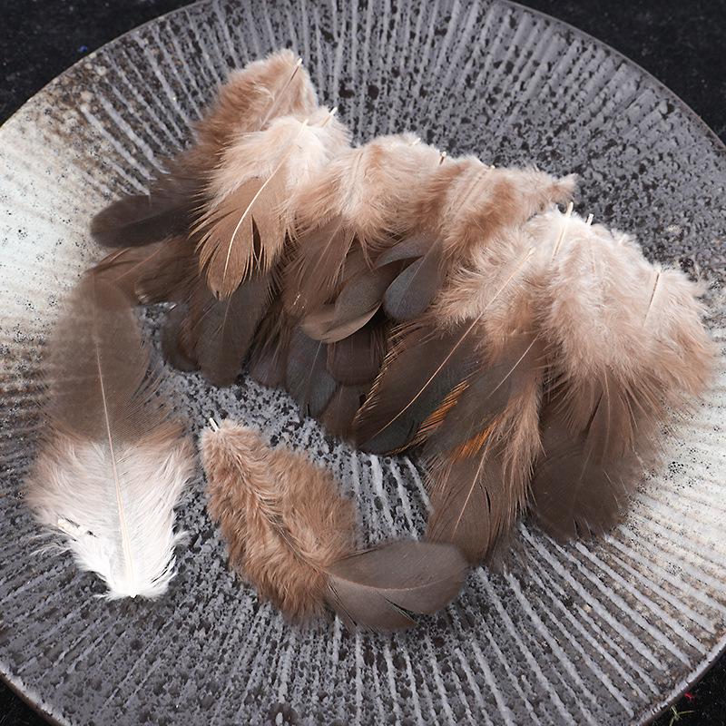 Mixed Color Chicken & Peacock Feathers for DIY Ornaments, Handicrafts, and Handmade Clothing Accessories.
