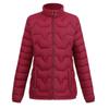 Small Padded Jacket Women's New Winter Fashion Light and Thin Large Size Padded Jacket Versatile Short Thickened Down Padded Jacket