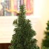 20cm/30cm Mini Green Christmas Tree DIY Decorative Tree Home Decoration Desktop Accessories Tools Christmas Home Party Decor