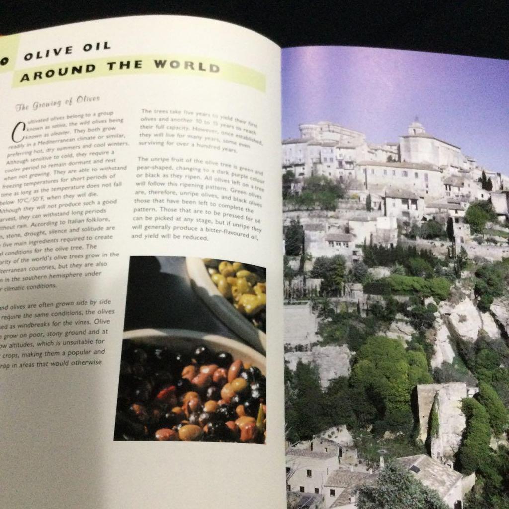 [USED] Olive Oil Western Books Recipe Cooking Olive Oil Recipe Cooking