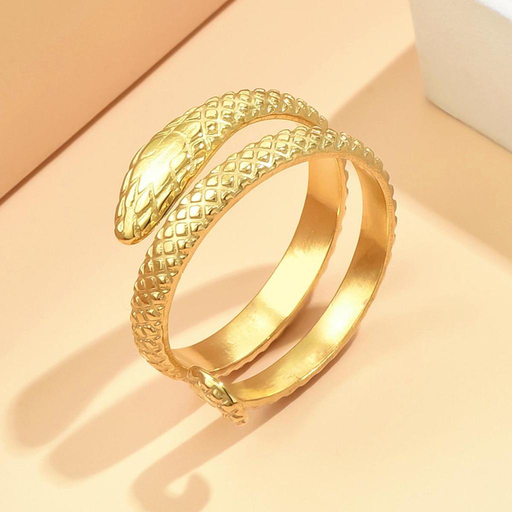 Personalized Punk Snake Ring: Stainless Steel Retro Hip Hop Double Circle Ring for Men and Women