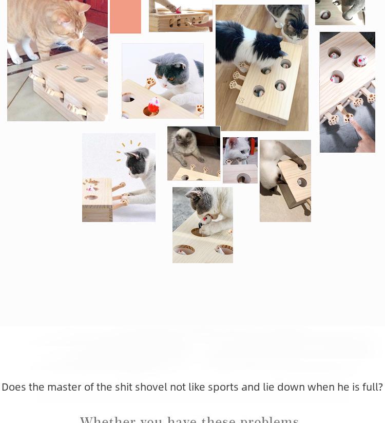 Solid Wood Whack-a-Mole Educational Cat Toy - Internet Sensation!