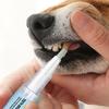 2 Τεμ. 3ml Στυλό Καθαρισμού Δοντιών Κατοικίδιων Ζώων Σκύλοι Γάτες Αφαίρεση Τρυγίας Φυσικό Κατοικίδιο