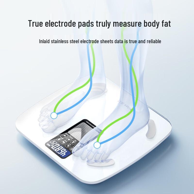 Meilen Smart Solar Body Fat Scale (CN version)
