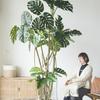 Monstera Bionic Bonsai – Luxury Indoor Faux Floor Plant for Decor