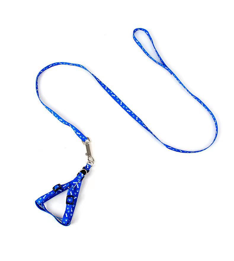 Polyester Printed Dog Leash - Free Shipping