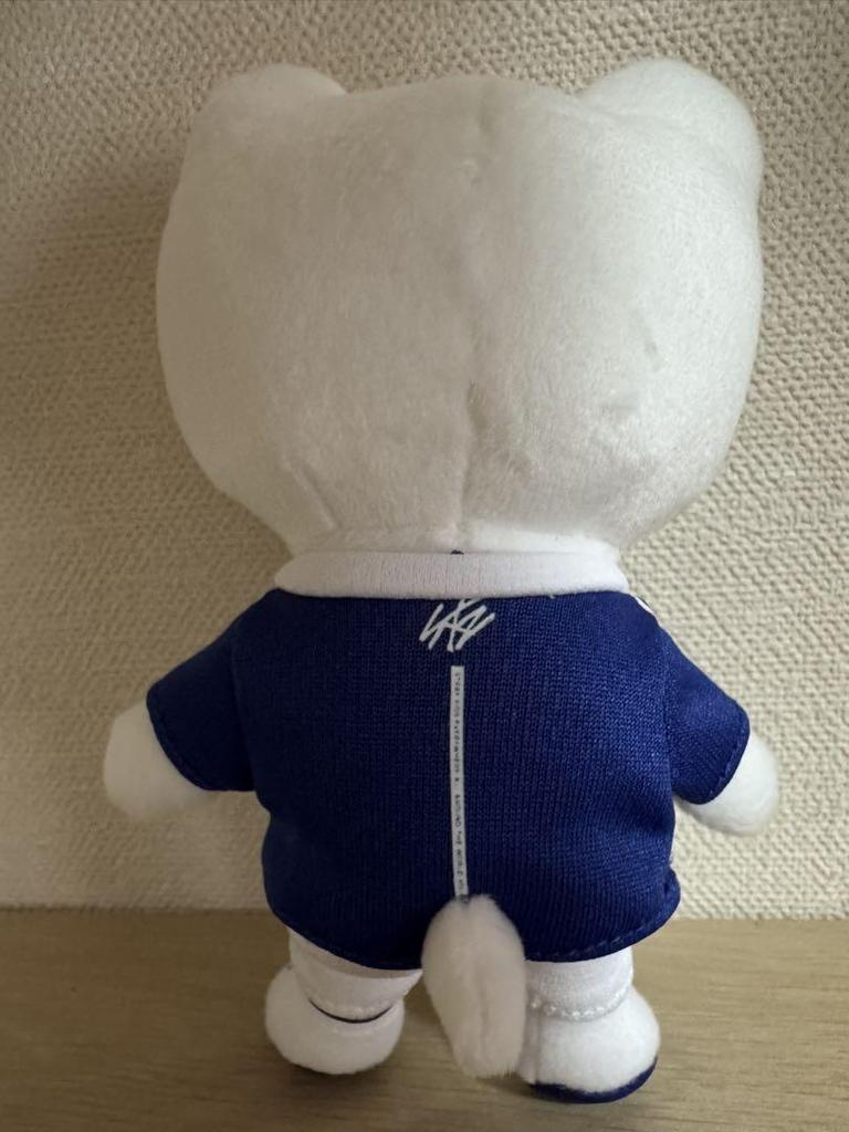 [USED] straykids skzoo genielet popup