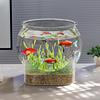 Fish Bowl Tank Accessories Decorative Portable Tabletop Ornament Turtle Viewing