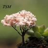 Ornament Plant Miniature Mini Different Shape Plastic Pots Fairy Metal Dollhouse Tree for Home Garden