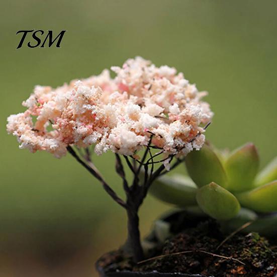 Ornament Plant Miniature Mini Different Shape Plastic Pots Fairy Metal Dollhouse Tree for Home Garden