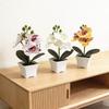 Butterfly Orchid Artificial Plant With Plastic Material For Home Decor And Photography Props