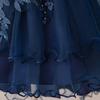 Children's Princess Embroidered Formal Piano & Party Dress
