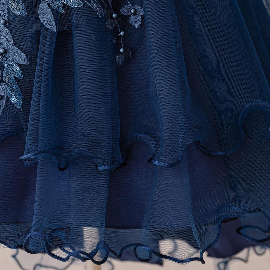 Children's Princess Embroidered Formal Piano & Party Dress