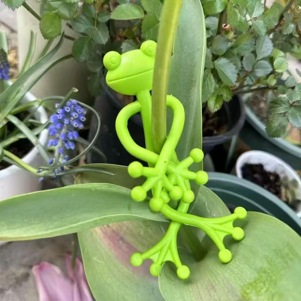 Adorable Frog Plant Support for Green Plants