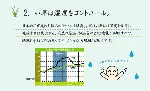 IKEHIKO "DX Marvelous" Igusa Rug, 2-Tatami Size, Blue, Approx. 191 x 191 cm (Non-Woven Backing)