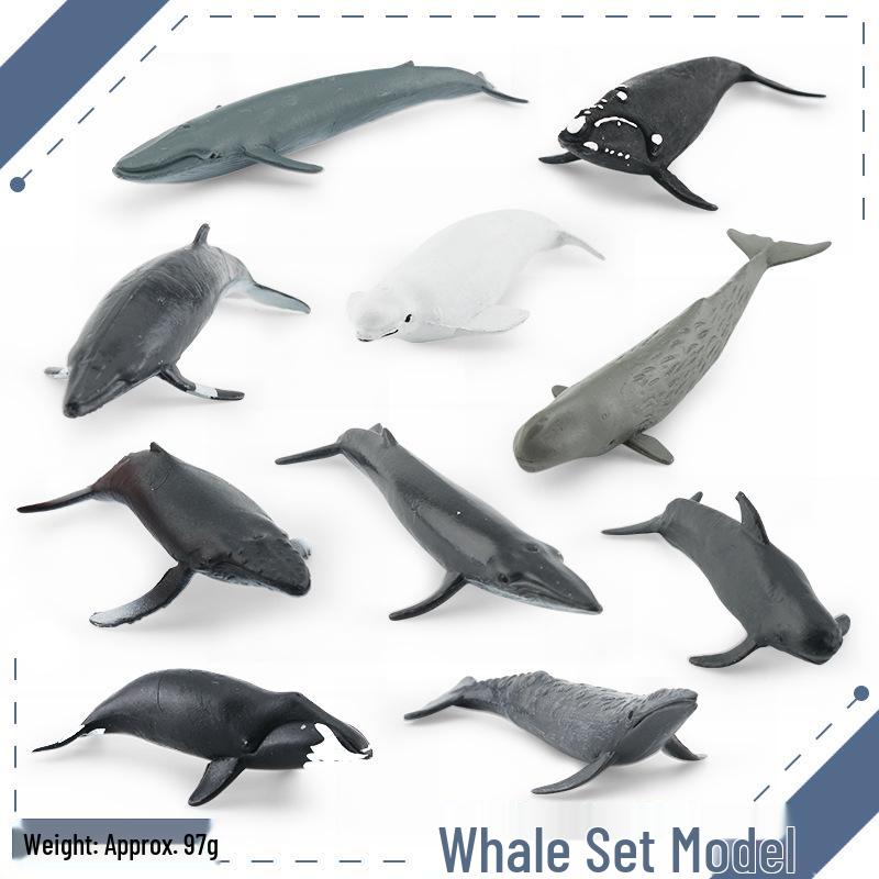 Animal Growth Cycle Models: Chicken, Duck, Goose, Butterfly, Turtle, Frog Montessori Teaching Figurines