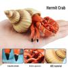 Underwater Hermit Crab Toy - Marine Life Model for Children's Cognitive Play