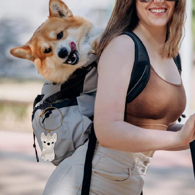 Clear Dog Furs Keepsakes Keychain,Dog Hair Holder Keychain Pet Furs Keepsakes Keychain Memorial Keyring Pet Lover Gift