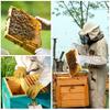 1 Pair Professional Canvas Sheepskin Gloves Anti-sting Beekeeping Tools Safe Beekeeping Gloves