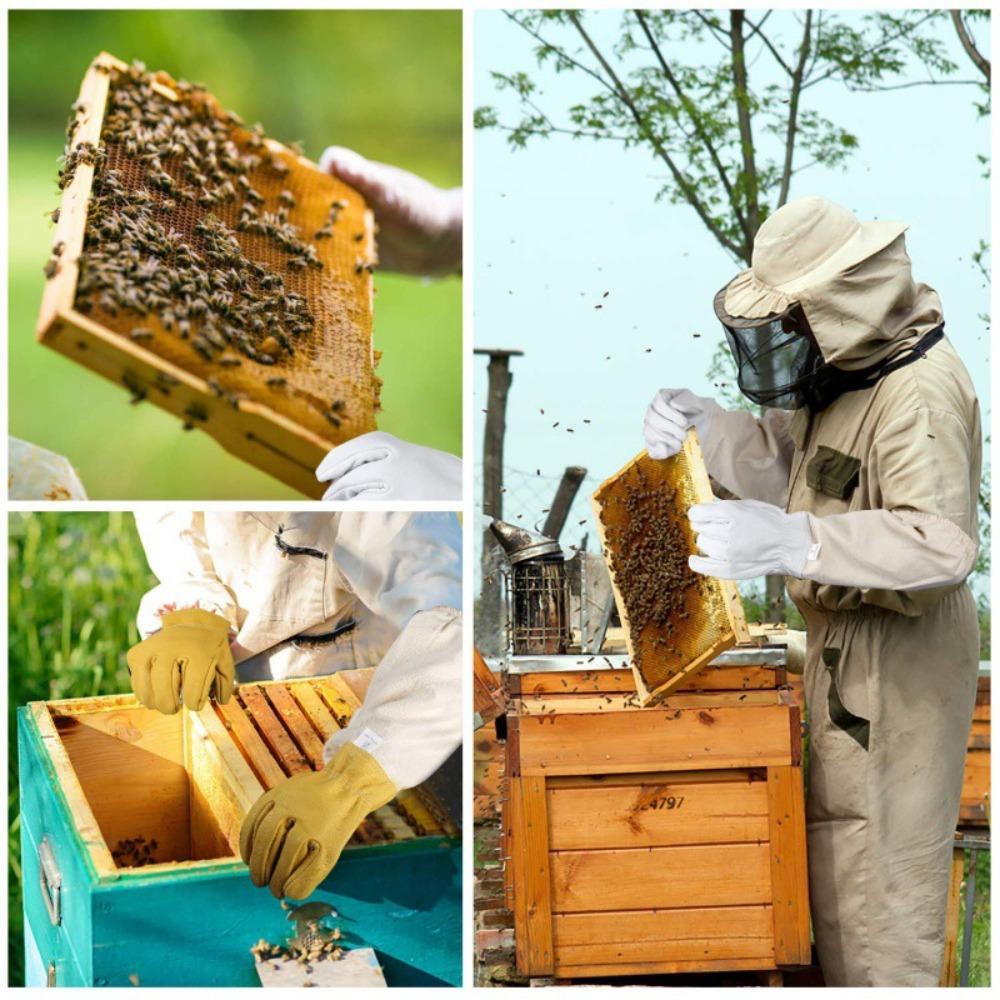 1 Pair Professional Canvas Sheepskin Gloves Anti-sting Beekeeping Tools Safe Beekeeping Gloves