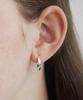Tatiana Screw Hoop Earrings Ec3118