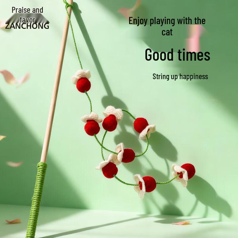 Zanchong Tomato Skewers Interactive Cat Wand Set