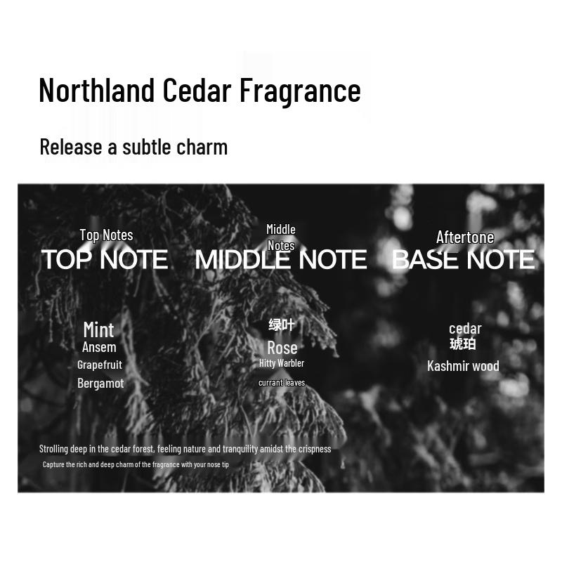 RiRan Men's Hair Styling Pomade & Wax