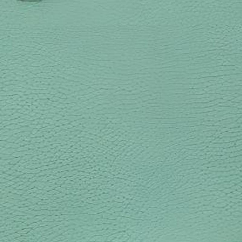 Tory Burch Blake Litchi Pattern Design Tote Bag Women Tote Green 85985-303