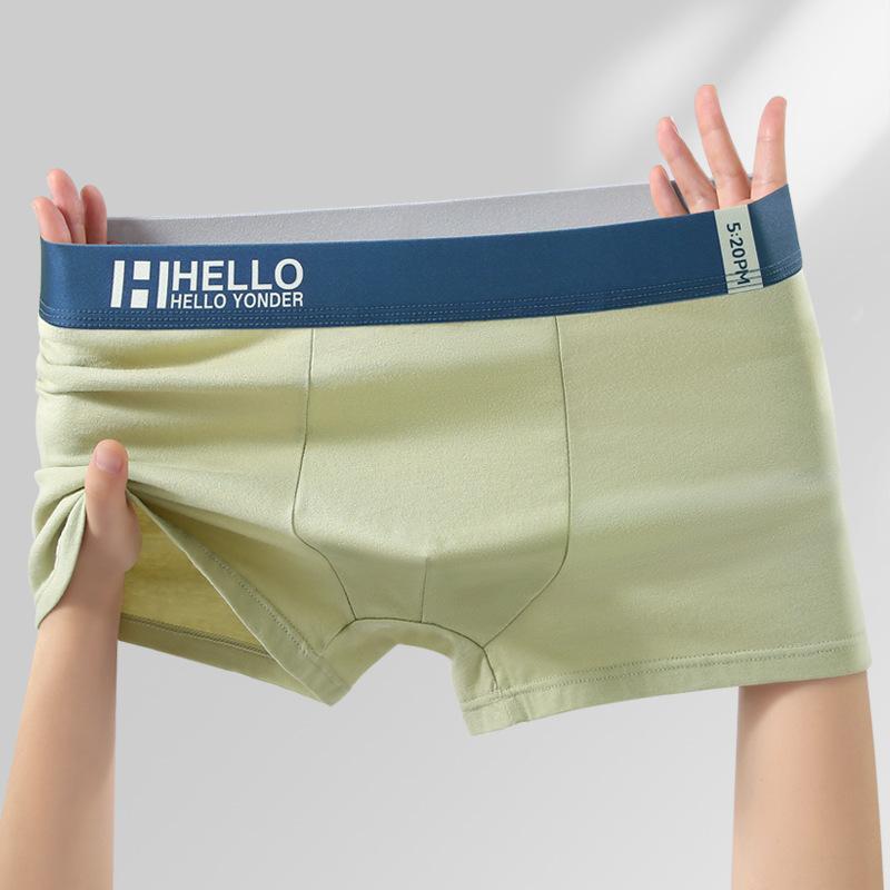 Plus Size Men's Spring and Summer Pure Cotton Antibacterial and Breathable Youth Briefs