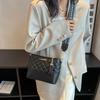 Niche Diamond Chain Small Bag Women's Bag 2025 New Autumn and Winter Versatile Stray Bag High-end Shoulder Messenger Bag