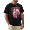 Moody Appaloosaballinasloe Fair 2011 Tshirt Soft Cotton Print Tshirt