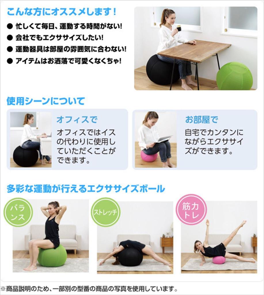 ALINCO Exercise Ball Cover for 55cm WB1241G