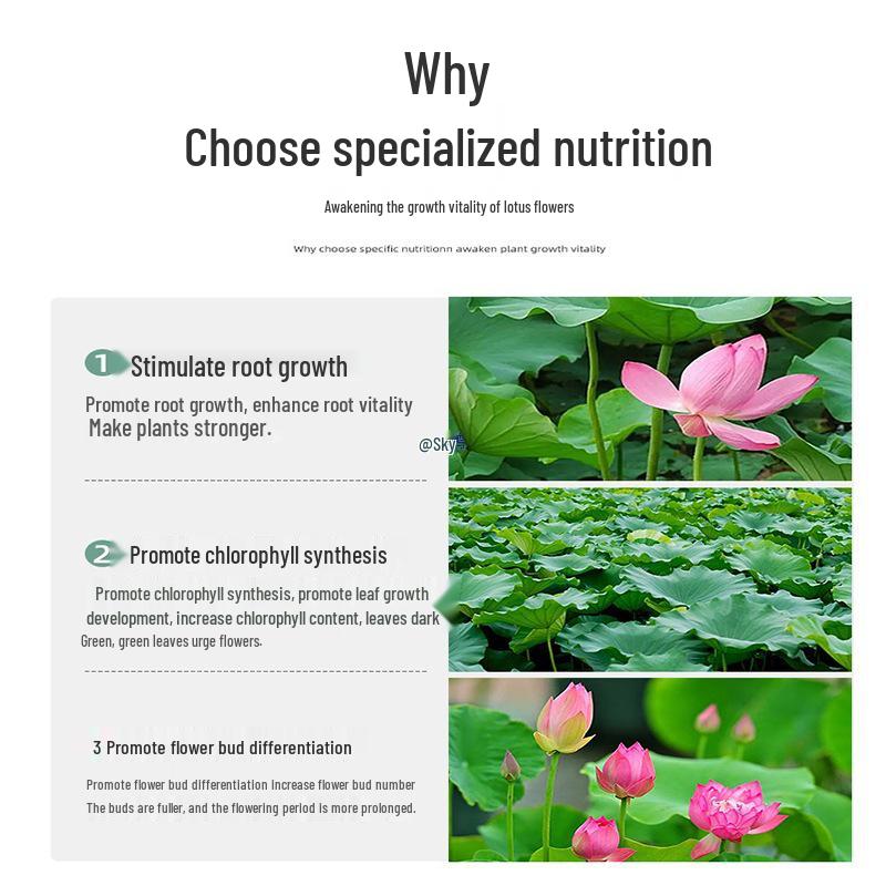 Lotus Nutrient Solution & Fertilizer for Hydroponic and Soil-Based Lotus Ponds and Bonsai Pots