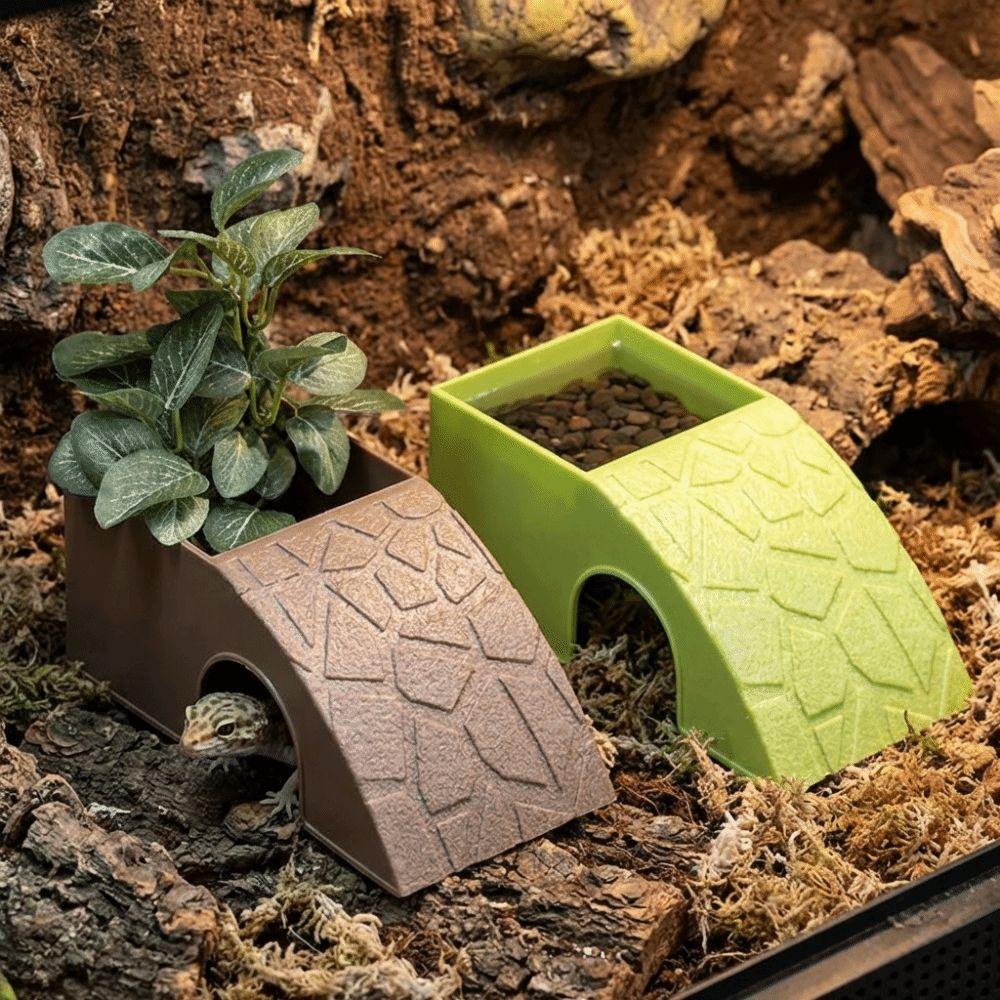 Anti Drowning Reptile Feeding Box With Moss Tray Water Dispenser Pet Breeding
